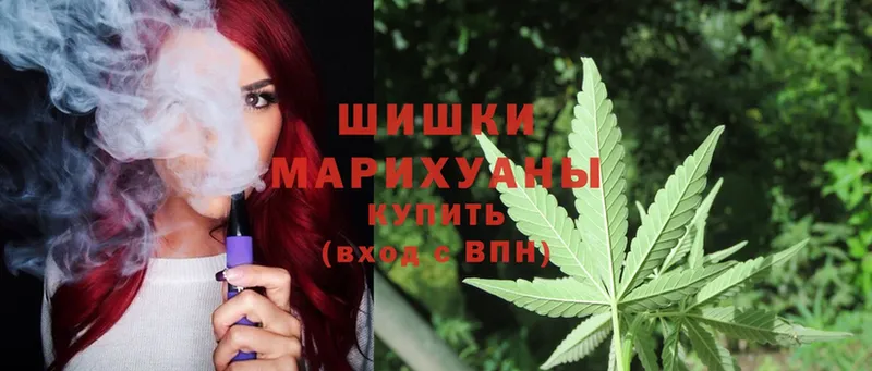 Бошки марихуана OG Kush  Саранск 